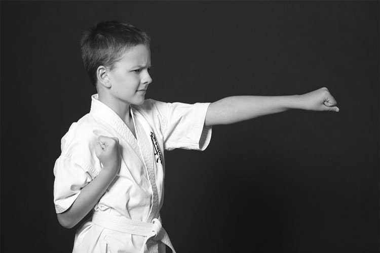martial arts, fitness, self discipline