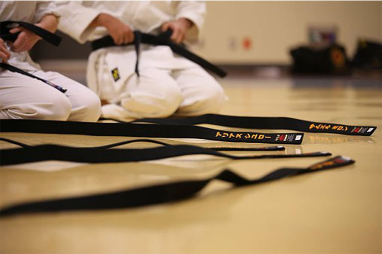 bullying, martial arts